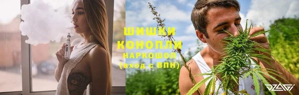гидропоника Белоозёрский