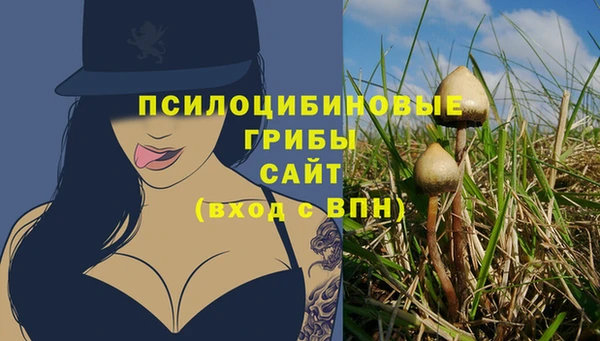 гидропоника Слюдянка