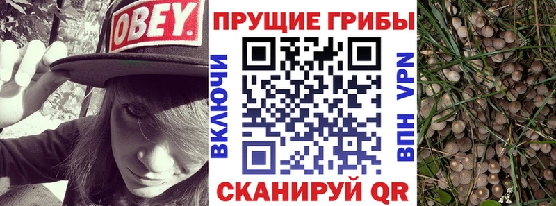Галлюциногенные грибы мицелий  Магас 